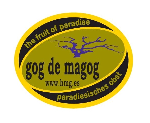 Logo - Global Hmg Sat 9997